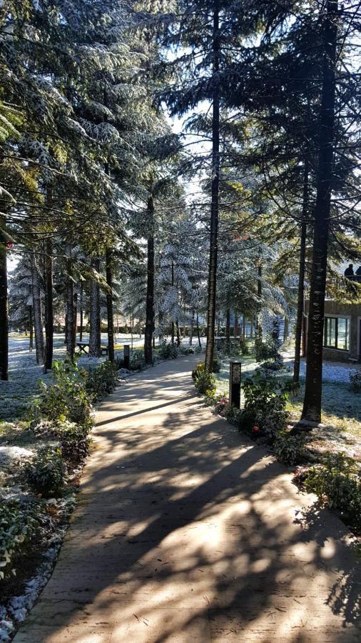 Bolu Koru Hotels Spa & Convention Yolcatı Buitenkant foto