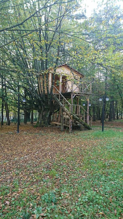 Bolu Koru Hotels Spa & Convention Yolcatı Buitenkant foto
